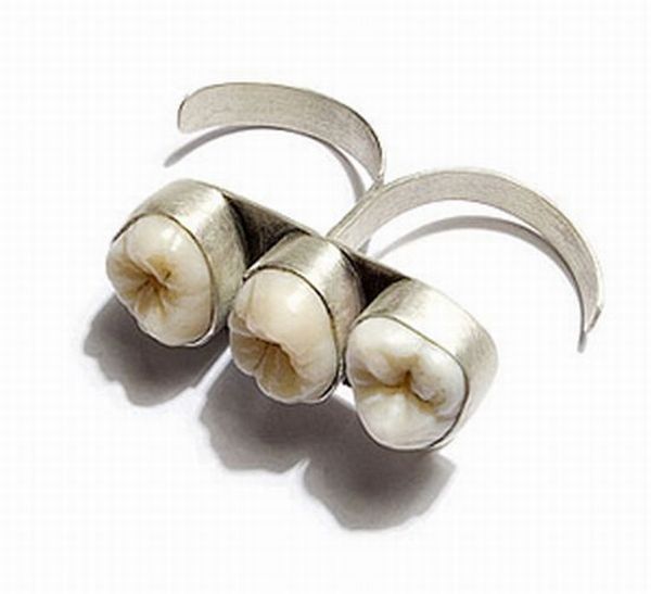 Jewelry with Teeth (10 pics)