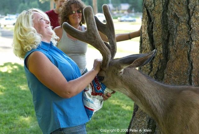 Daily picdump (112 pics)