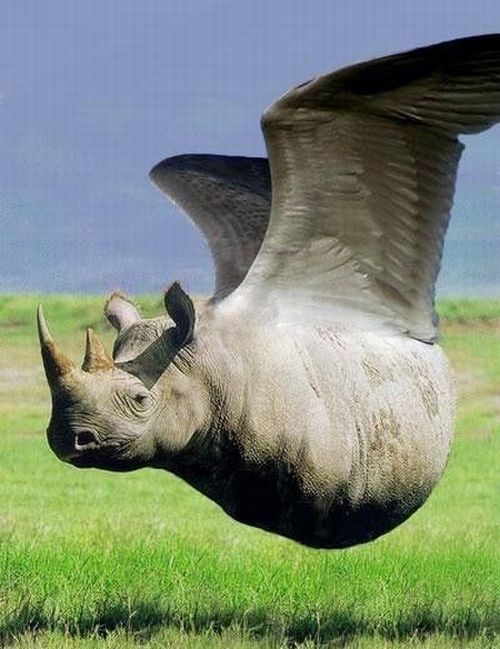 Daily picdump (112 pics)