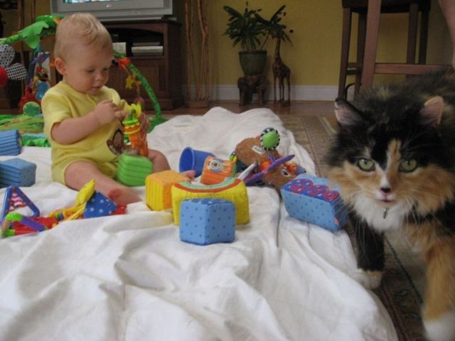 Daily picdump (112 pics)