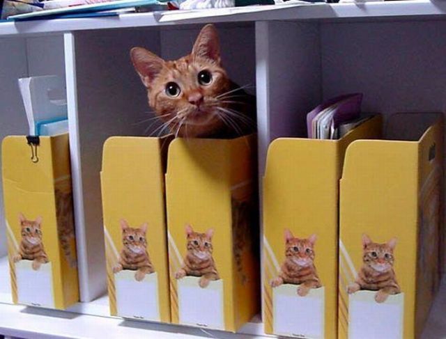 Daily picdump (112 pics)