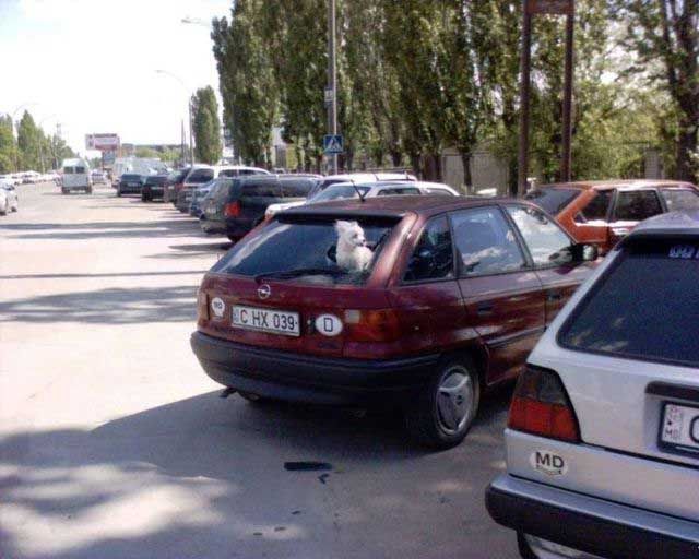 Daily picdump (112 pics)