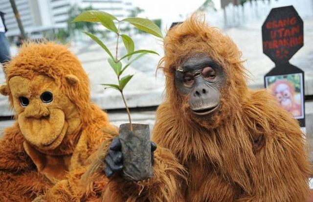 Daily picdump (112 pics)