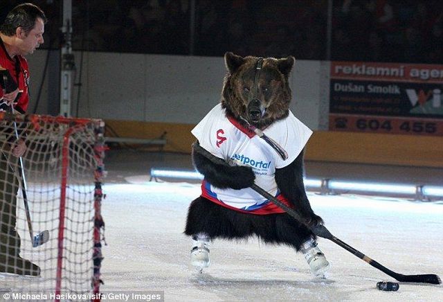 Daily picdump (112 pics)