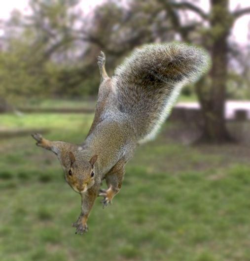 Great photomontage - Invisible World (58 pics)