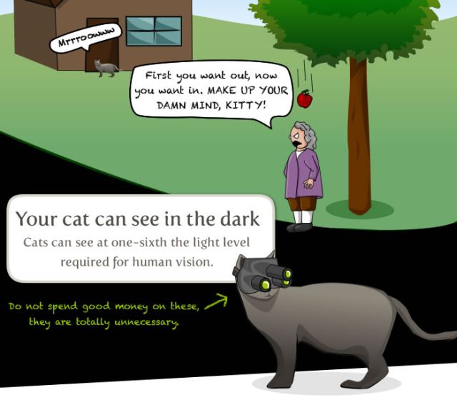 Interesting Facts about Your Cat (8 pics)