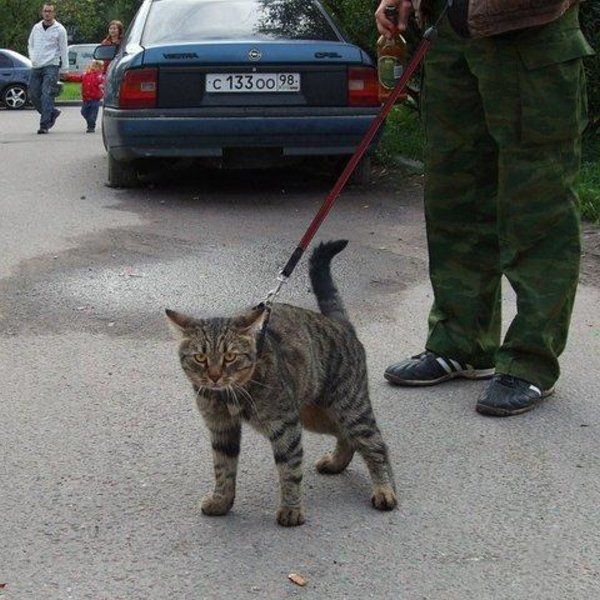 Daily picdump (128 pics)