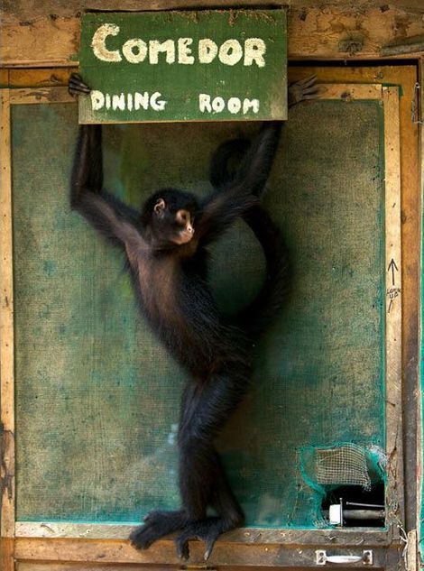 Daily picdump (128 pics)