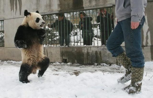 Daily picdump (128 pics)