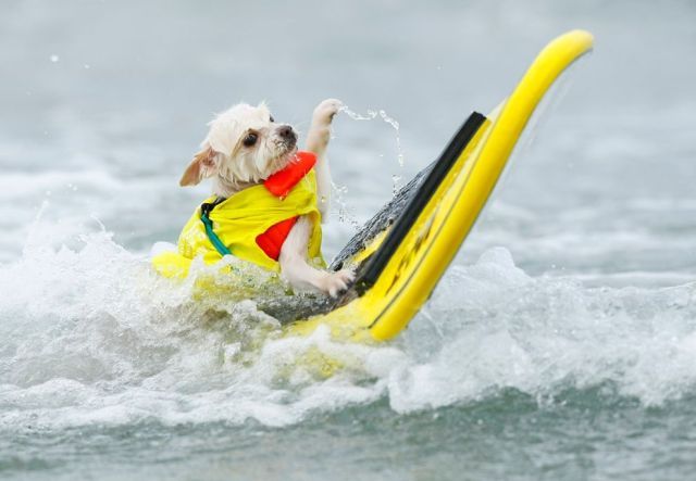 Daily picdump (128 pics)
