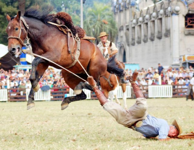 Daily picdump (128 pics)