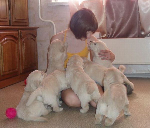 Daily picdump (128 pics)