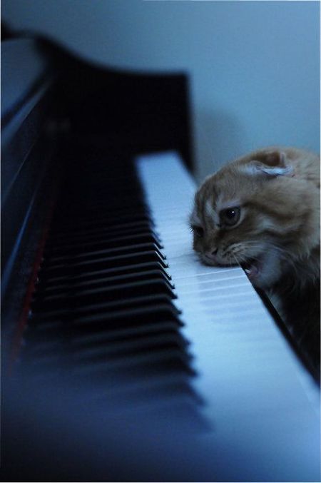 Daily picdump (128 pics)