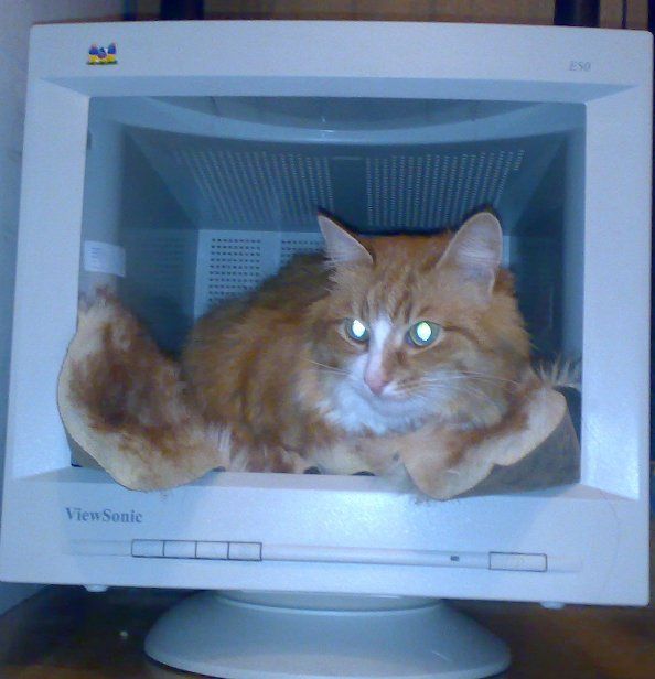 Daily picdump (128 pics)