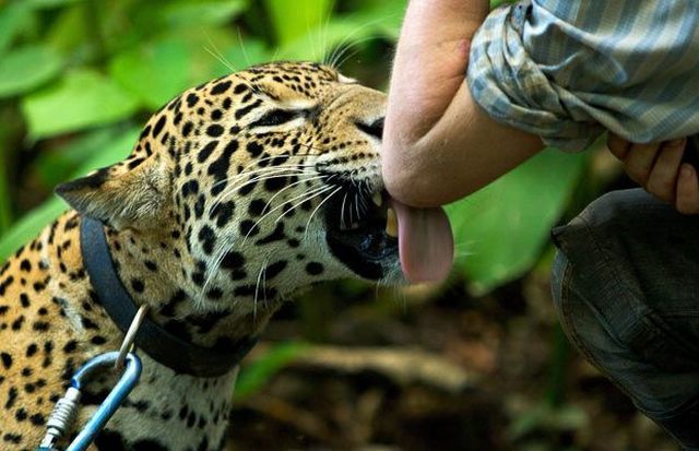 Daily picdump (128 pics)