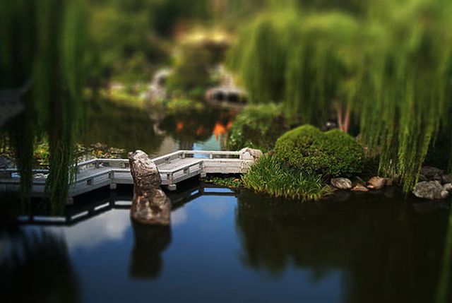 Stunning Tilt-Shift Photography (67 pics)