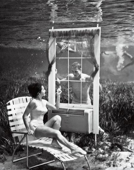 Underwater Life (9 pics)