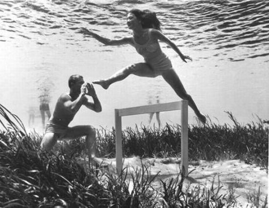 Underwater Life (9 pics)