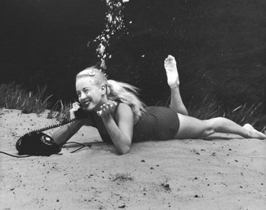 Underwater Life (9 pics)
