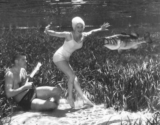 Underwater Life (9 pics)