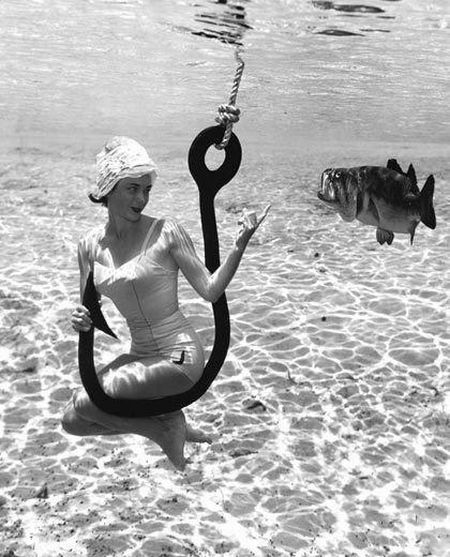 Underwater Life (9 pics)