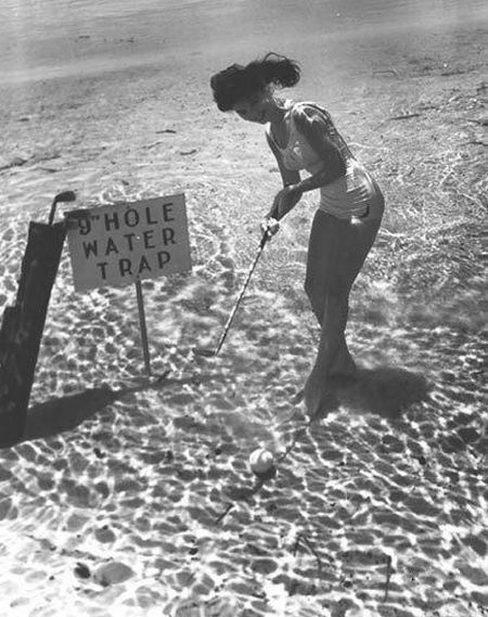 Underwater Life (9 pics)