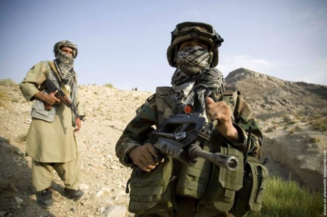 Taliban (19 pics)