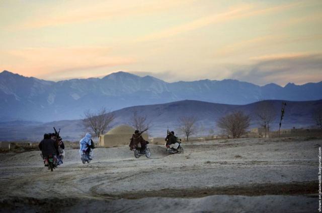 Taliban (19 pics)