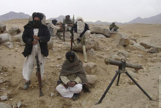 Taliban (19 pics)