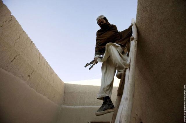 Taliban (19 pics)