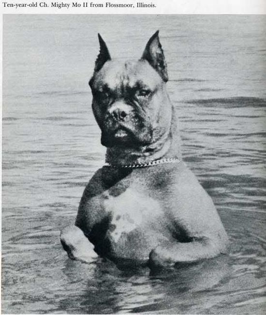 Humor in the Last Century (20 pics)