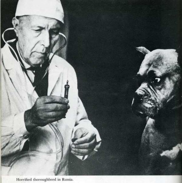 Humor in the Last Century (20 pics)