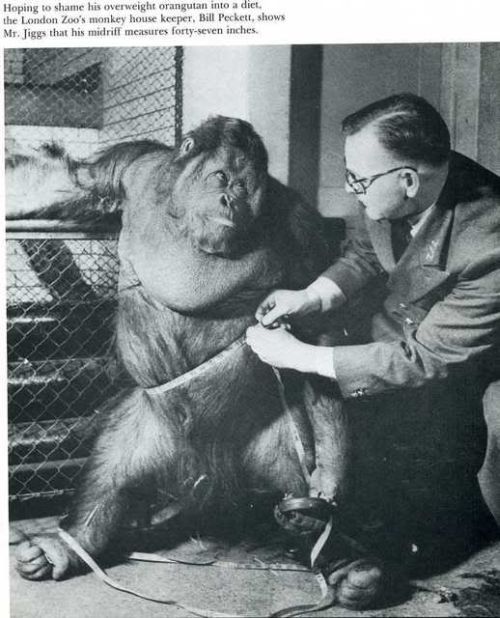 Humor in the Last Century (20 pics)