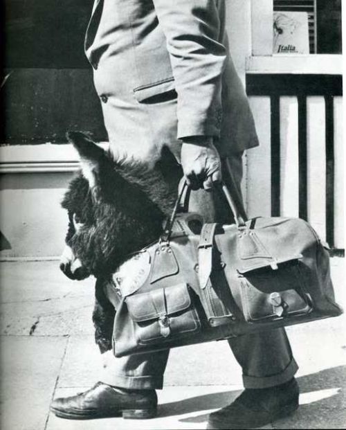 Humor in the Last Century (20 pics)