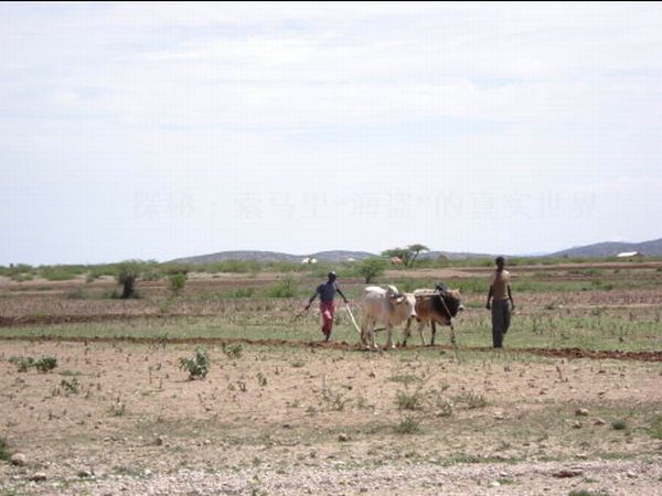 The Other Side of Somali Pirates’ life (16 pics)