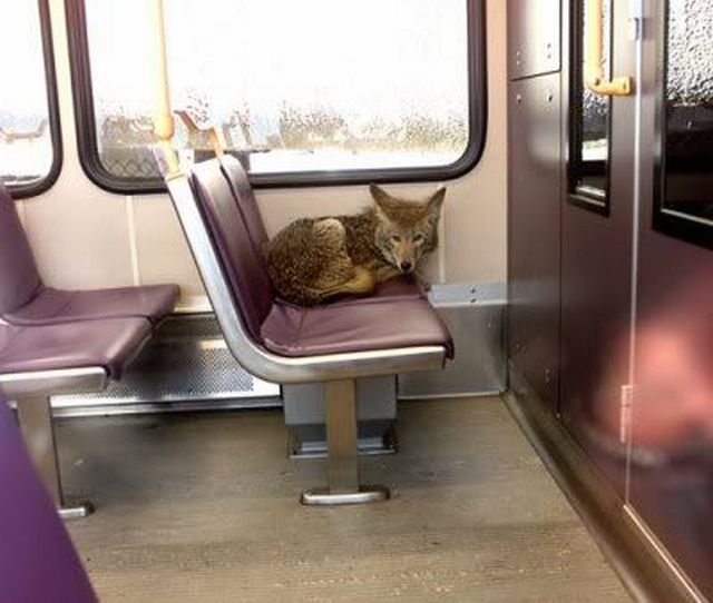 Daily picdump (153 pics)