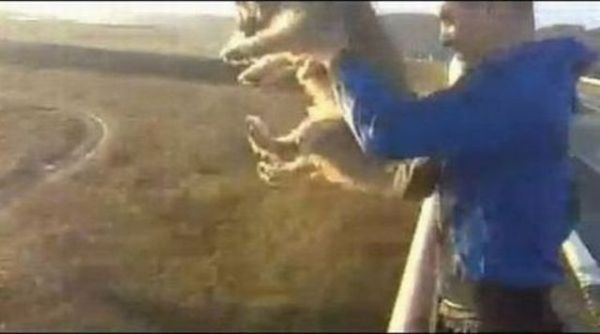Stupid Lithuanian guy Threw a Dog Over a Bridge but Got Arrested! (10 pics + 1 video)