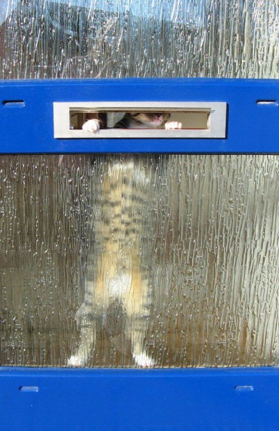 Daily picdump (110 pics)