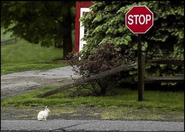 Daily picdump (110 pics)