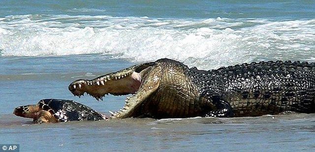 Daily picdump (110 pics)