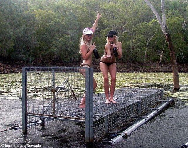 Daily picdump (110 pics)