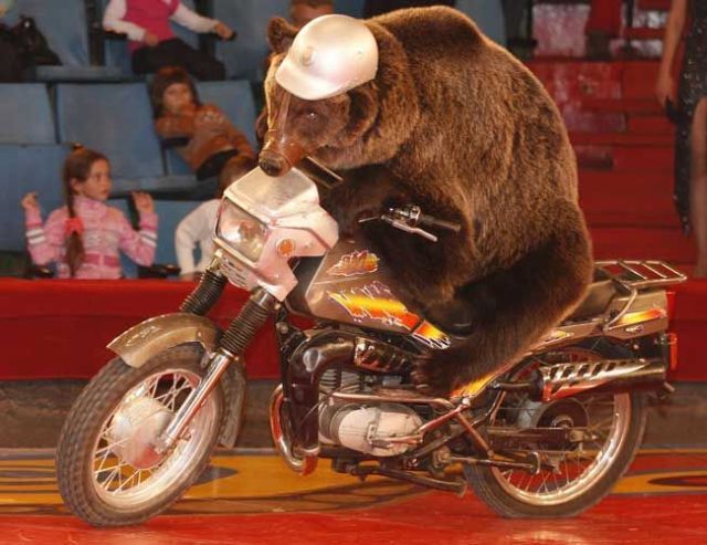 Daily picdump (110 pics)