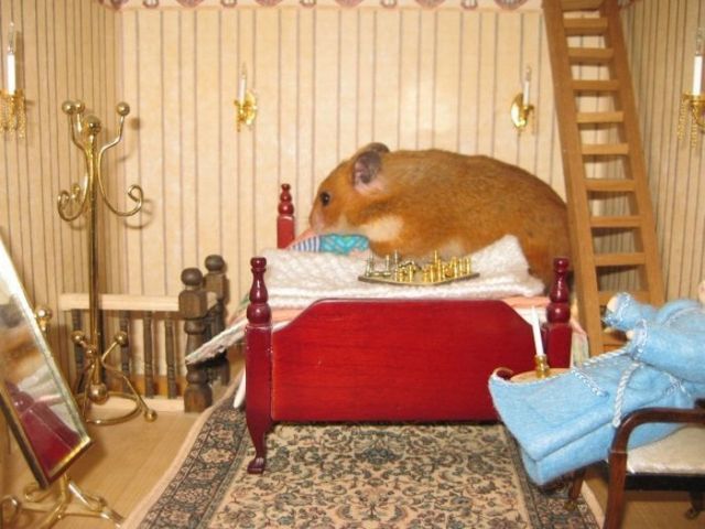Daily picdump (110 pics)