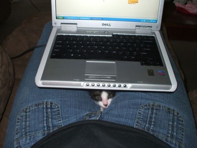 Daily picdump (110 pics)