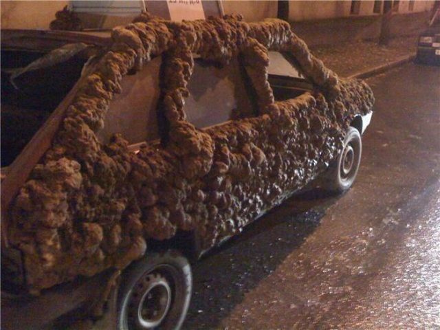 Daily picdump (110 pics)