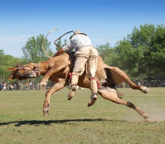 Daily picdump (110 pics)