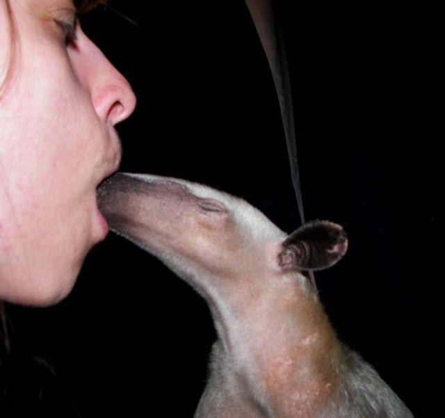 Daily picdump (111 pics)