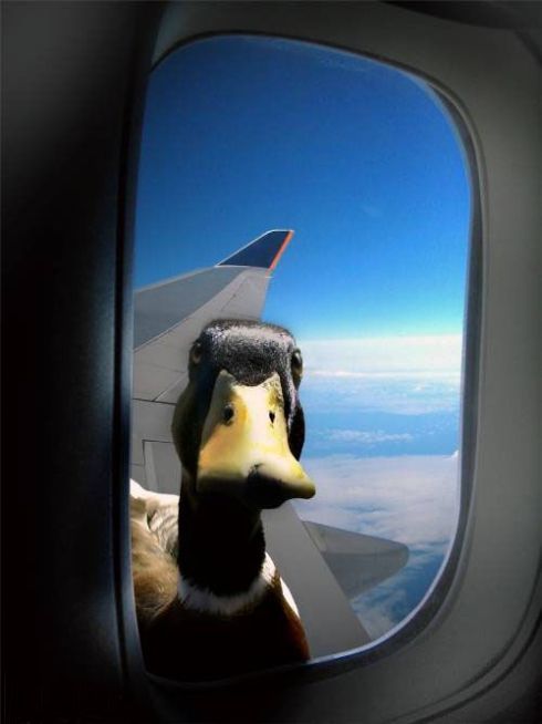 Daily picdump (111 pics)