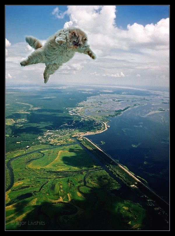 Daily picdump (111 pics)
