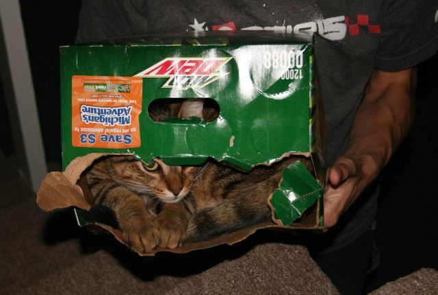Daily picdump (111 pics)